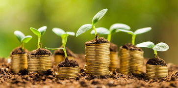 股權(quán)融資也講究天時地利人和 如何防止a輪融資被虐