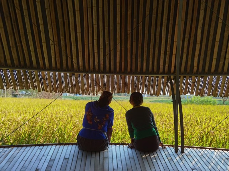 在上海,這些農(nóng)場正越來越受歡迎